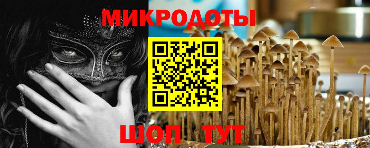 Псилоцибиновые грибы Psilocybe  Вход с VPN  сколько стоит  Ликино-Дулёво  Галлюциногенные грибы прущие грибы 